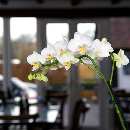 The Maple Manor Hotel Crawley  Ngoại thất bức ảnh